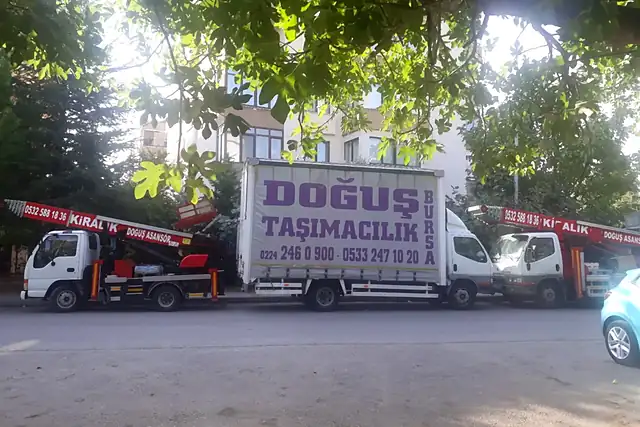 Doğuş Taşımacılık kamyonu ve iki asansörlü araç yan yana